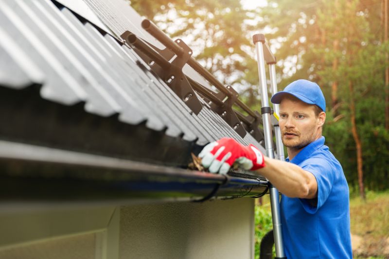 Handyman Services for Gutter Maintenance
